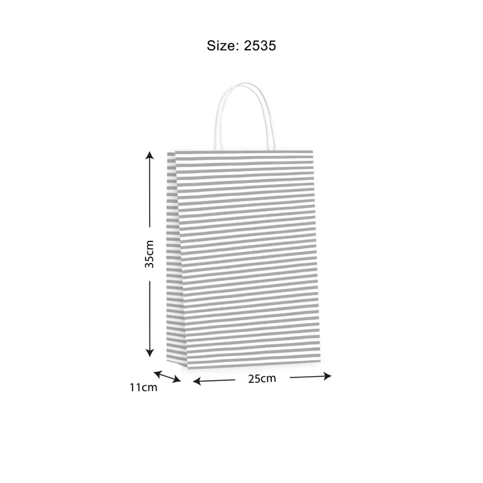 Gift Bag SML Candy Silver 250x350x110mm